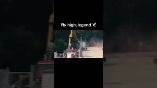 fly high, Ayrton Senna 🕊️f1 crash #f1 #ayrtonsenna #edit #sad #f1crash  #car #cars