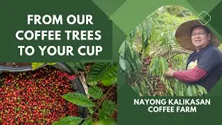 Nayong Kalkasan Coffee Farm: From our Coffee trees to your Cup - A Coffee Journey in Alfonso, Cavite
