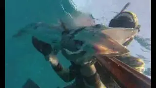 Spearfishing Dominican Republic MATANZAS