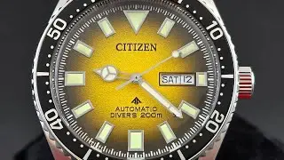 Citizen 