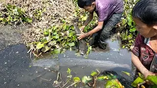 Fishes/ Amazing hand fishing video 2022/ fishing with unbelievable technique