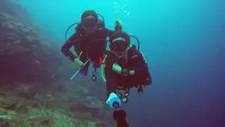 diving in sangalaki, derawan with Scuba Junkie Sangalaki