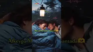 MAXAMED SACID BK HEES CUSUB 2025 #SOMALI_LYRICS #duet #shorts #love #videoshorts #duet #reel#best