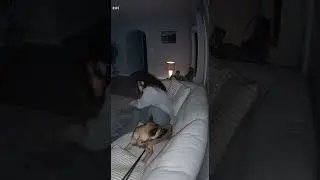 Dog Protects Blind Women From Black Shadow Ghost