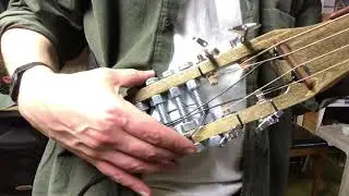 Stick bass