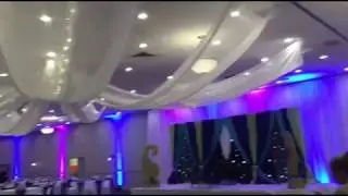 Starry Night Peacock Themed Event Maryland Backdrop Rentals