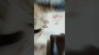 प्रथम निमंत्रण आपको गौरी पुत्र गणेश 🙏✨#shortvideo #love