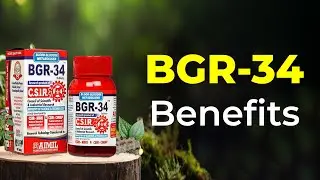 BGR 34 Review: Benefits, Ingredients & Uses for Diabetes Care | Ayurvedic Diabetes Tablet Explained