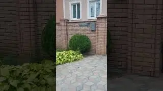 Самая несмешная улица / by Selin/ Gon by Selin/ юмор/ рофл/ гон/исполнение/прикол/