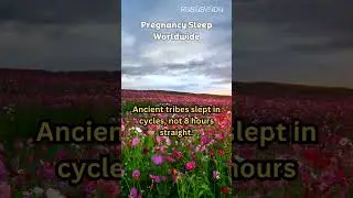 Pregnancy Sleep Worldwide#CityInsomnia 🌆 #SleepTech 📱 #DigitalDetox📵#AncientWisdom📜#PeacefulNights🌌