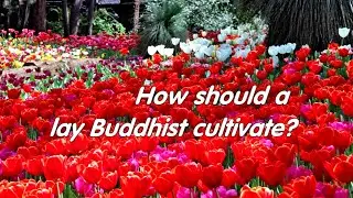 How should a lay Buddhist cultivate? by Venerable Master Shen-Kai