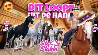 IK HEB GEEN REM. WE KOPEN NOG MEER PAARDEN VAN DE BAZAAR | SSO Shopping (nl) | wolfxjessy