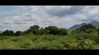 #traintravellingsound #travelsoundtrack #tracksound  TrainTravellingsound #journeysoundtrack #nature