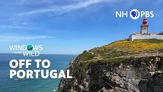 Boca do Inferno & Beyond: A New Englander&rsquo;s Journey Through Portugal