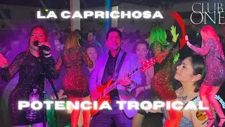 Potencia Tropical  De NY 🎸🎻🥁  Con Su Ritmo Incomparable En Club One Virgina 2024