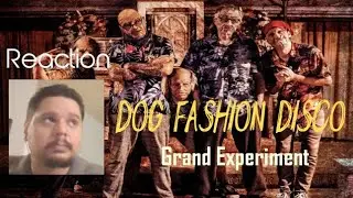 Interesting Band 🤔 | Dog Fashion Disco - Grand Experiment