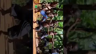Naatu Naatu Song Dance African Kids #rrr #shorts #naatunaatu #africandance