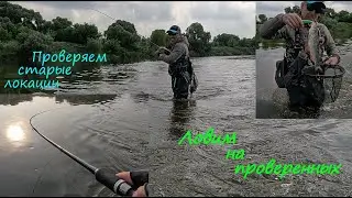 За белым хищником по старым местам, но там щука...(((  А он на проверенных локациях...)))