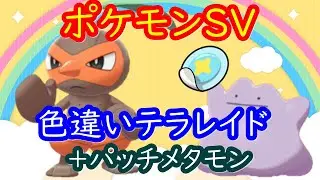 🔴【ポケモンSV】 色違いコノハナ ＋ とくせいパッチメタモンレイド ＋ 視聴者同士の交流所（攻略情報・レイド募集・ポケモン交換・ポケモン対戦・攻略情報など）2026年1月19日 夜～