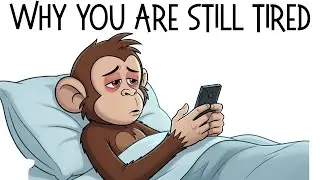 Monkey&rsquo;s Sleep Experiment - 7 Nights to Rebuild His Brain