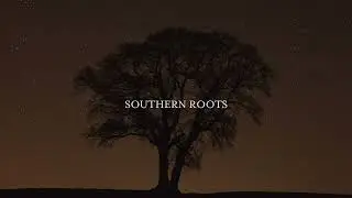 Patrick Davis - Southern Roots (Official Lyric Video)