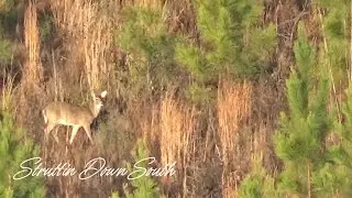 Hunting The Cutover