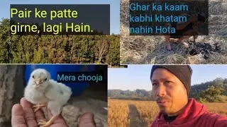 Ye Kaam Abhi Toh  || Prabhas Debbarma Vlog || #villagerlifestyle #myhappyvillagelifestyle