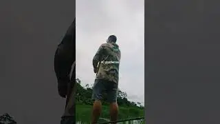 &Eacute; assim com voc&ecirc;s tamb&eacute;m? #fishing #pescaria #sobreira #mt #lucasdorioverde #viralshorts