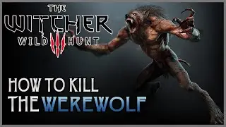 The Witcher 3 Wild Hunt - How To EASILY Kill a Werewolf (The Witcher 3 HD PS4 Gameplay)