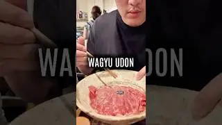 Wagyu Udon im Udonzin Beat in Osaka