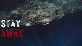 Deep Cave Dive Gone WRONG | The Tragic Bushman&rsquo;s Hole Incident