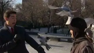 Watters' World: Christmas quiz edition