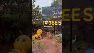 Bee Honey Museum 🍯🐝 #viral #shorts #subscribe🙏 #honeybee #museum #honey #bee