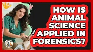 How Is Animal Science Applied In Forensics? - Animal Care Jobs