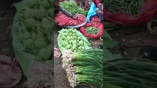 Tindi #youtube #vegetables #shorts #ytshorts daily Pakistan Routine