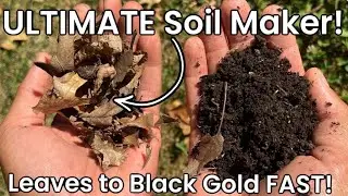 You Can Make INCREDIBLE Garden Soil w/ Fall Leaves!