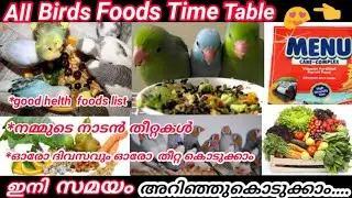 All Birds Foods Time Table Menu Malayalam, നമ്മുടെ  അലങ്കാര  പക്ഷികൾക്ക്  കൊടുക്കേണ്ട  foods  Time.