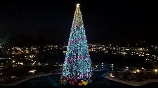 Gran Gala d’inverno e Accensione Albero - Leolandia 2018