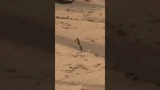 Som ET - 58 - Mars - Curiosity Sol 4386 - 1