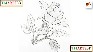 How to draw Flower | How to draw rose