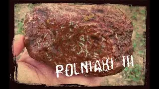 W poszukiwaniu skarbów natury - Polniaki III Ametyst / Agat / Drewno / agates / gems 