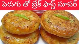 పెరుగు తోని ఇలా బ్రేక్ఫాస్ట్ చేసుకోండి ఇంట్లో వాళ్లందరికీ నచ్చుతుంది | curd breakfast telugu 