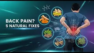 5 Herbs That Soothe Chronic Back Pain Naturally