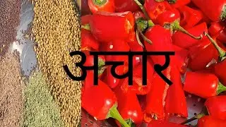 लाल मिर्च का अचार 🌶🌶🌶🌶