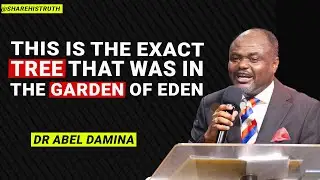 [FINALLY] COULD THIS BE THE FRUIT EVE ATE IN THE GARDEN? - DR ABEL DAMINA