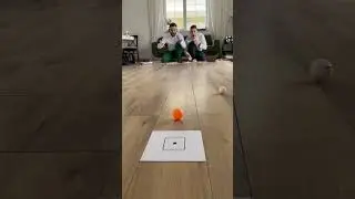 САМЫЙ МЕТКИЙ КАТАТЕЛЬ #фрост #challenge