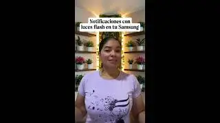 Cómo recibir tus notificaciones o mensajes con luces flash