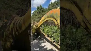 Sauropod Diplodocus @dinoparquelourinha9481 #sauropod #diplodocus #dinosaur