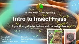 Intro to Insect Frass - How to Use Frass for Growing Indoors