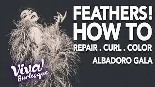 Feathers: How To Repair, Curl & Color w Albadoro Gala